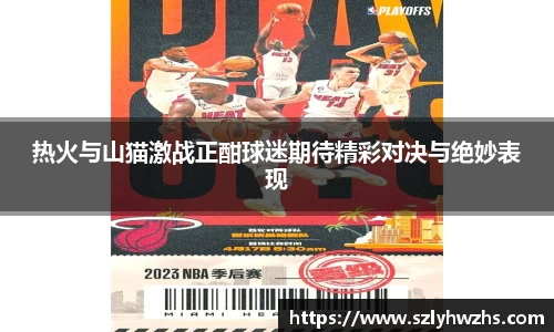 热火与山猫激战正酣球迷期待精彩对决与绝妙表现
